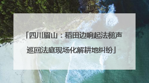 四川眉山：稻田边响起法槌声 巡回法庭现场化解耕地纠纷