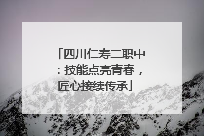 四川仁寿二职中：技能点亮青春，匠心接续传承