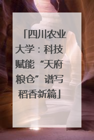 四川农业大学：科技赋能“天府粮仓”谱写稻香新篇