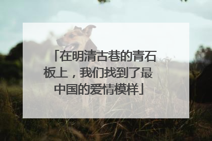 在明清古巷的青石板上，我们找到了最中国的爱情模样