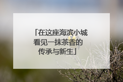 在这座海滨小城 看见一抹茶香的传承与新生