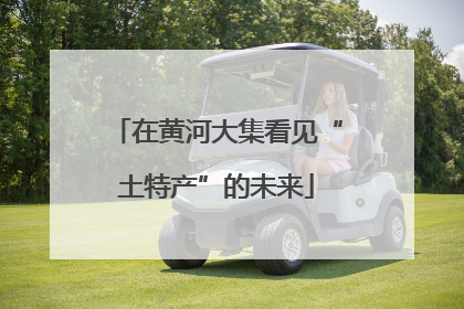 在黄河大集看见“土特产”的未来