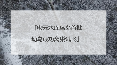 密云水库鸟岛首批幼鸟成功离巢试飞