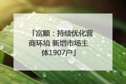 富顺：持续优化营商环境 新增市场主体1907户