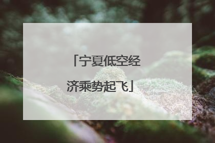 宁夏低空经济乘势起飞