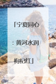 宁夏同心：黄河水润枸杞红