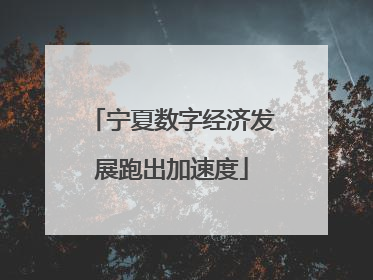 宁夏数字经济发展跑出加速度