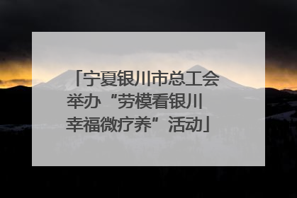 宁夏银川市总工会举办“劳模看银川 幸福微疗养”活动