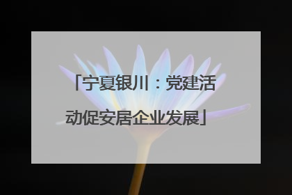 宁夏银川：党建活动促安居企业发展