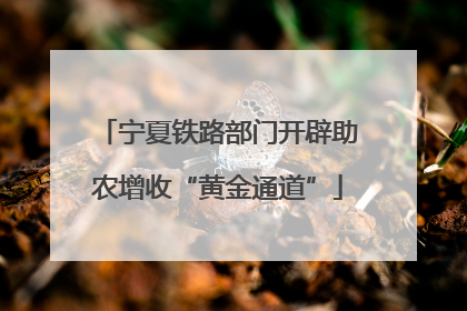 宁夏铁路部门开辟助农增收“黄金通道”
