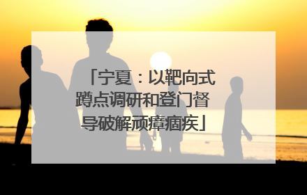 宁夏：以靶向式蹲点调研和登门督导破解顽瘴痼疾