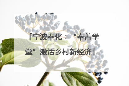 宁波奉化：“奉菁学堂”激活乡村新经济