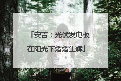 安吉：光伏发电板在阳光下熠熠生辉