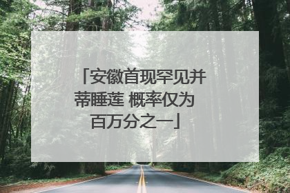 安徽首现罕见并蒂睡莲 概率仅为百万分之一