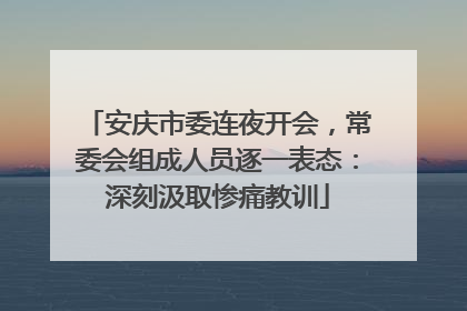 安庆市委连夜开会，常委会组成人员逐一表态：深刻汲取惨痛教训