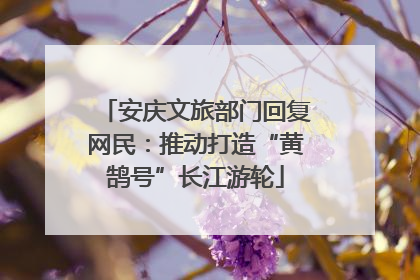 安庆文旅部门回复网民：推动打造“黄鹄号”长江游轮