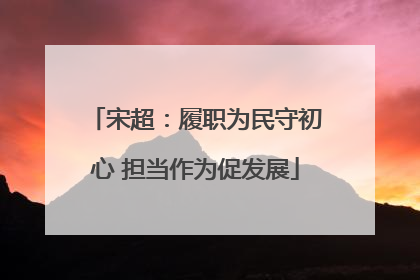 宋超：履职为民守初心 担当作为促发展