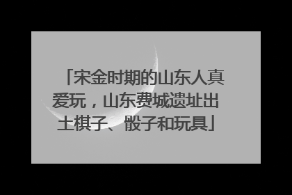 宋金时期的山东人真爱玩，山东费城遗址出土棋子、骰子和玩具