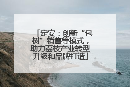 定安：创新“包树”销售等模式，助力荔枝产业转型升级和品牌打造