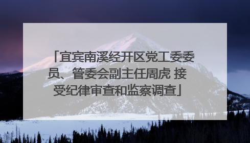 宜宾南溪经开区党工委委员、管委会副主任周虎 接受纪律审查和监察调查