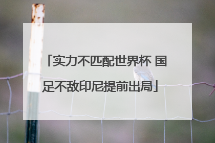 实力不匹配世界杯 国足不敌印尼提前出局