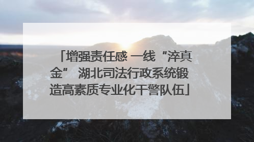 增强责任感 一线“淬真金” 湖北司法行政系统锻造高素质专业化干警队伍