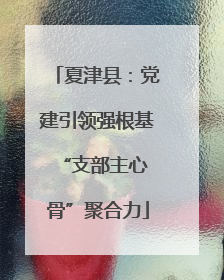 夏津县：党建引领强根基 “支部主心骨”聚合力