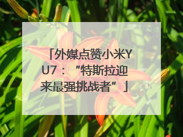 外媒点赞小米YU7：“特斯拉迎来最强挑战者”