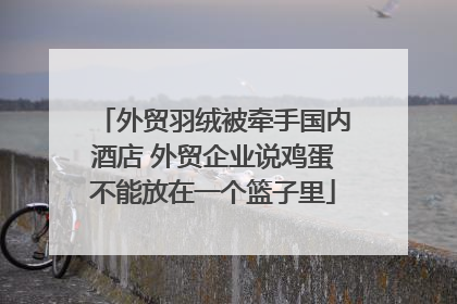 外贸羽绒被牵手国内酒店 外贸企业说鸡蛋不能放在一个篮子里