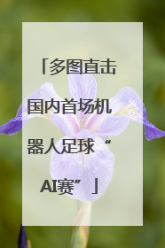 多图直击国内首场机器人足球“AI赛”