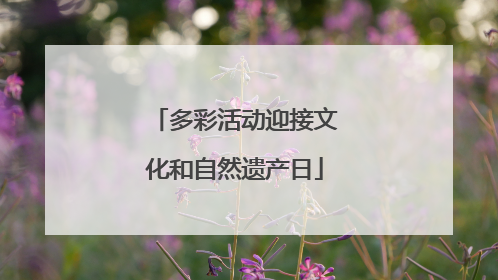 多彩活动迎接文化和自然遗产日