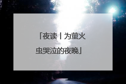 夜读丨为萤火虫哭泣的夜晚