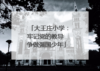 大王庄小学：牢记党的教导 争做强国少年