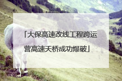 大保高速改线工程跨运营高速天桥成功爆破