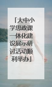 大中小学思政课一体化建设展示研讨活动顺利举办