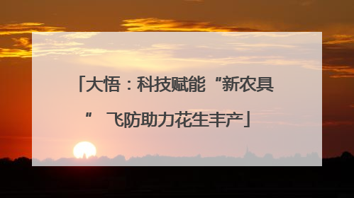 大悟：科技赋能“新农具” 飞防助力花生丰产