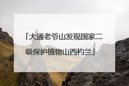 大通老爷山发现国家二级保护植物山西杓兰