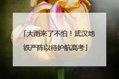 大雨来了不怕！武汉地铁严阵以待护航高考