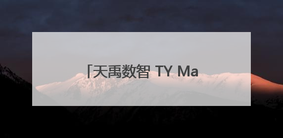 天禹数智 TY Marketing 破局营销新时代：智能体赋能与人才培育双轮驱动