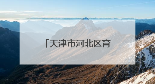 天津市河北区育婴里小学国际象棋共建基地启航