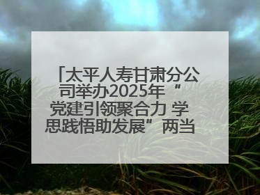 太平人寿甘肃分公司举办2025年“党建引领聚合力 学思践悟助发展”两当党建活动