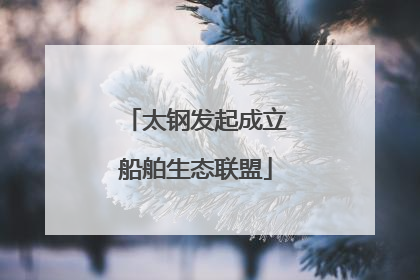 太钢发起成立船舶生态联盟