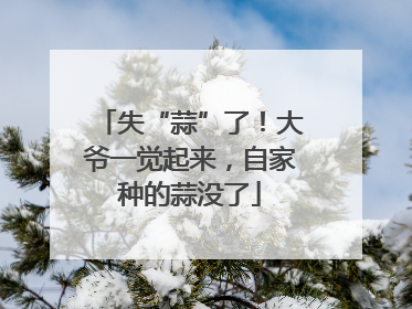 失“蒜”了！大爷一觉起来，自家种的蒜没了