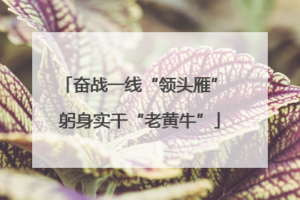 奋战一线“领头雁” 躬身实干“老黄牛”