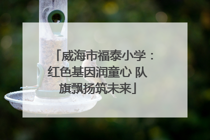 威海市福泰小学：红色基因润童心 队旗飘扬筑未来