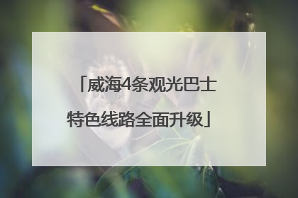 威海4条观光巴士特色线路全面升级