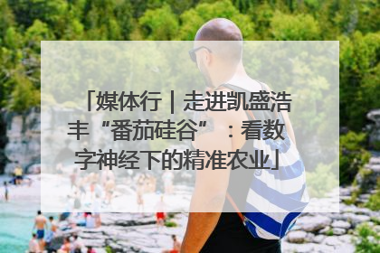 媒体行｜走进凯盛浩丰“番茄硅谷”：看数字神经下的精准农业