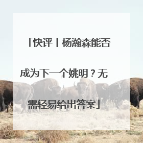 快评丨杨瀚森能否成为下一个姚明？无需轻易给出答案
