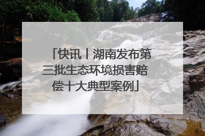 快讯丨湖南发布第三批生态环境损害赔偿十大典型案例