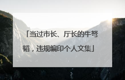 当过市长、厅长的牛弩韬，违规编印个人文集